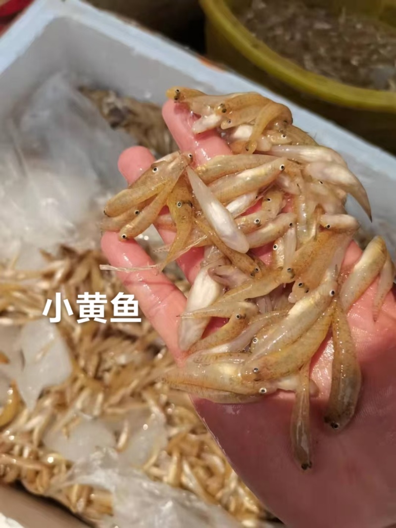 油炸，椒盐，罐装鱼仔，黄豆焖，酸笋焖，干锅，小黄鱼