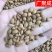 郁李仁小李仁饱满无杂一公斤起批新疆货甘肃货内蒙货