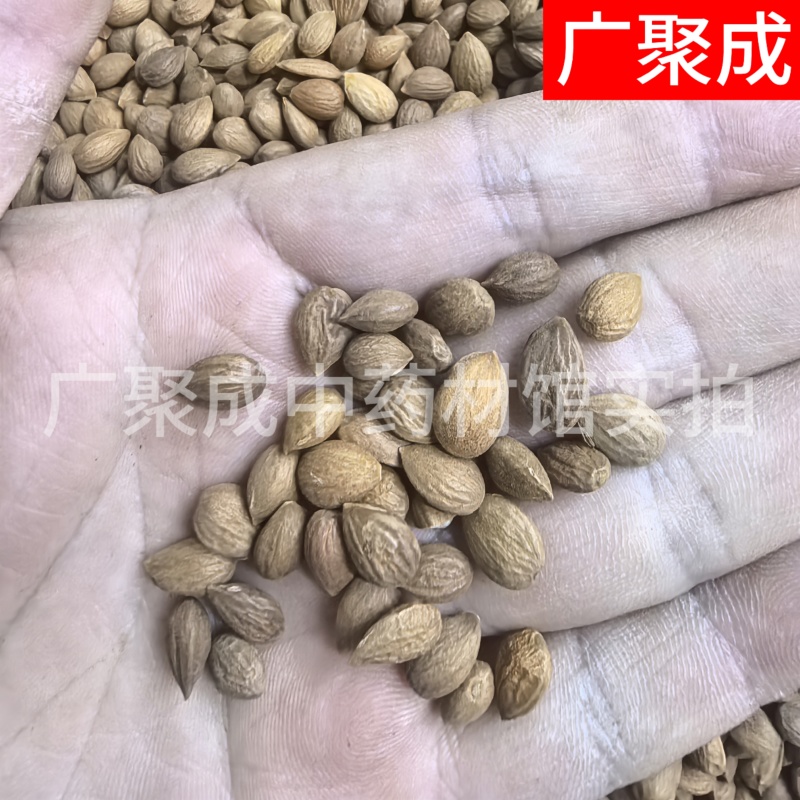 郁李仁小李仁饱满无杂一公斤起批新疆货甘肃货内蒙货