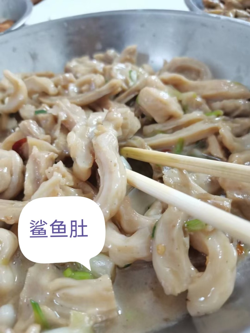 鲨鱼肚