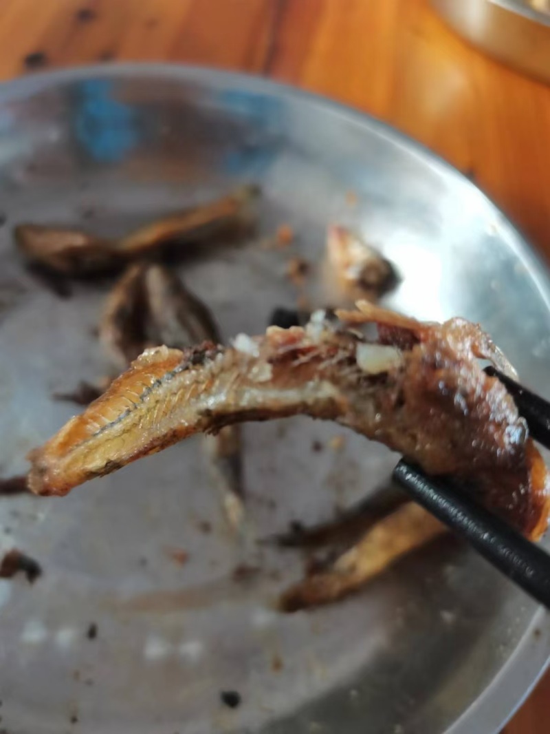肉鱼，香煎/油炸，椒盐/干锅，嘎嘎香的下酒菜