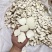 虎乳菌虎乳灵芝切片选装货没有碎片