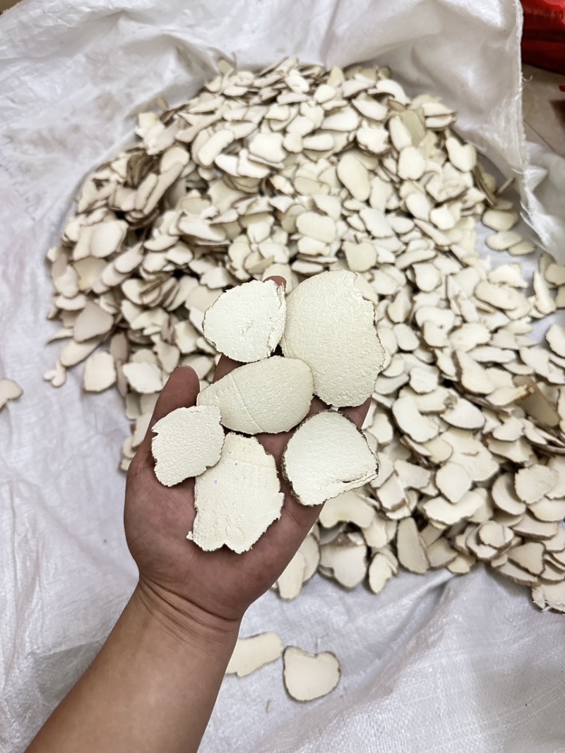 虎乳菌虎乳灵芝切片选装货没有碎片