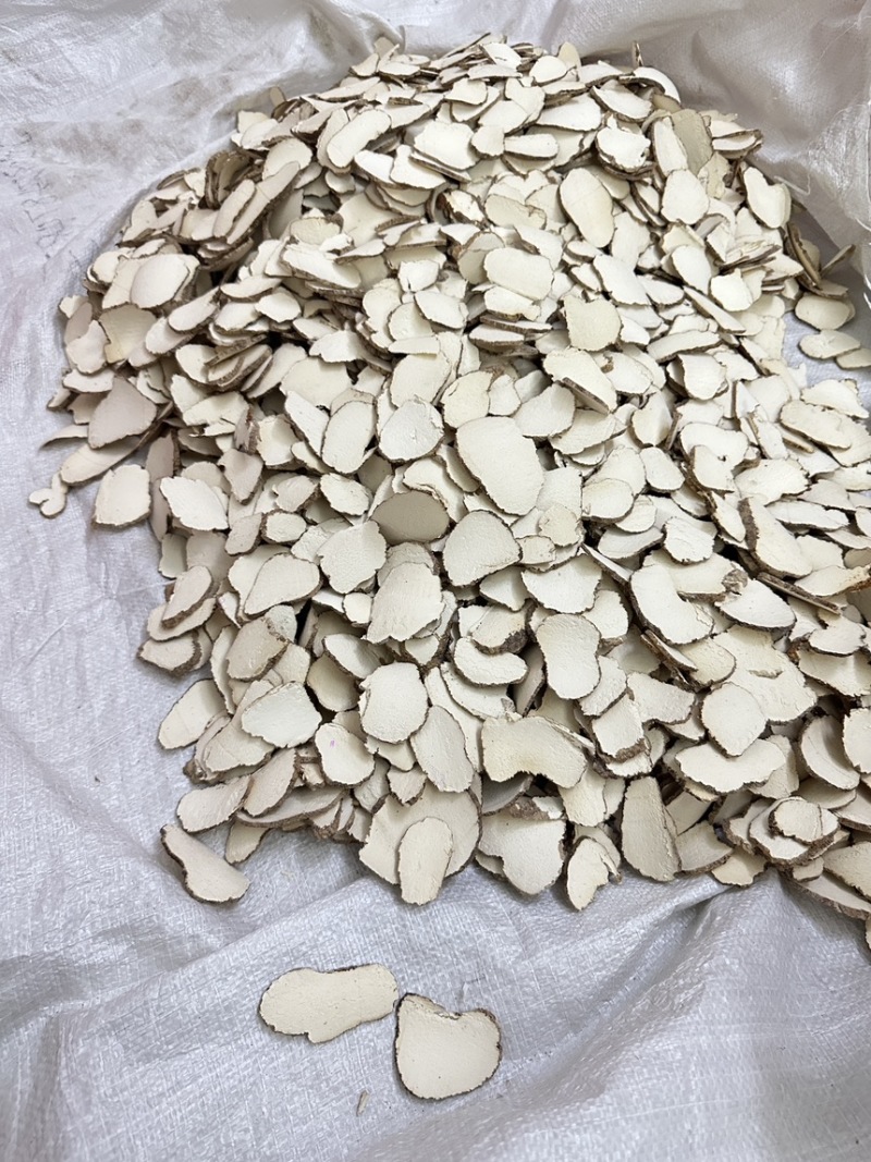 虎乳菌虎乳灵芝切片选装货没有碎片