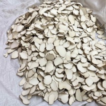 虎乳菌虎乳灵芝切片选装货没有碎片