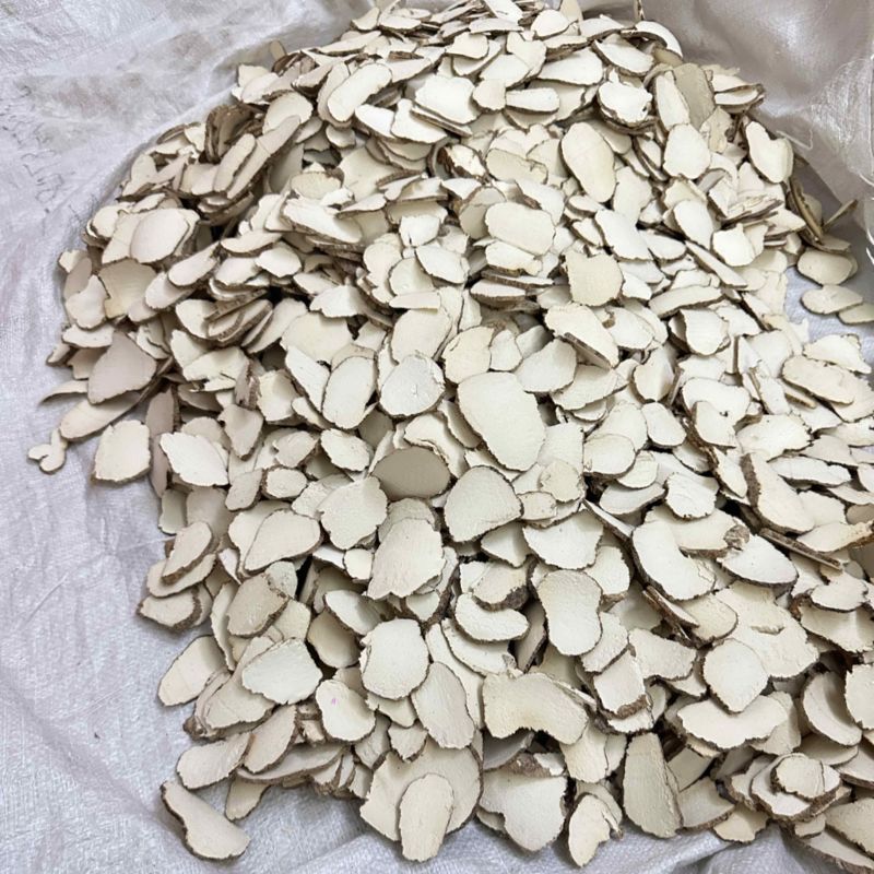 虎乳菌虎乳灵芝切片选装货没有碎片
