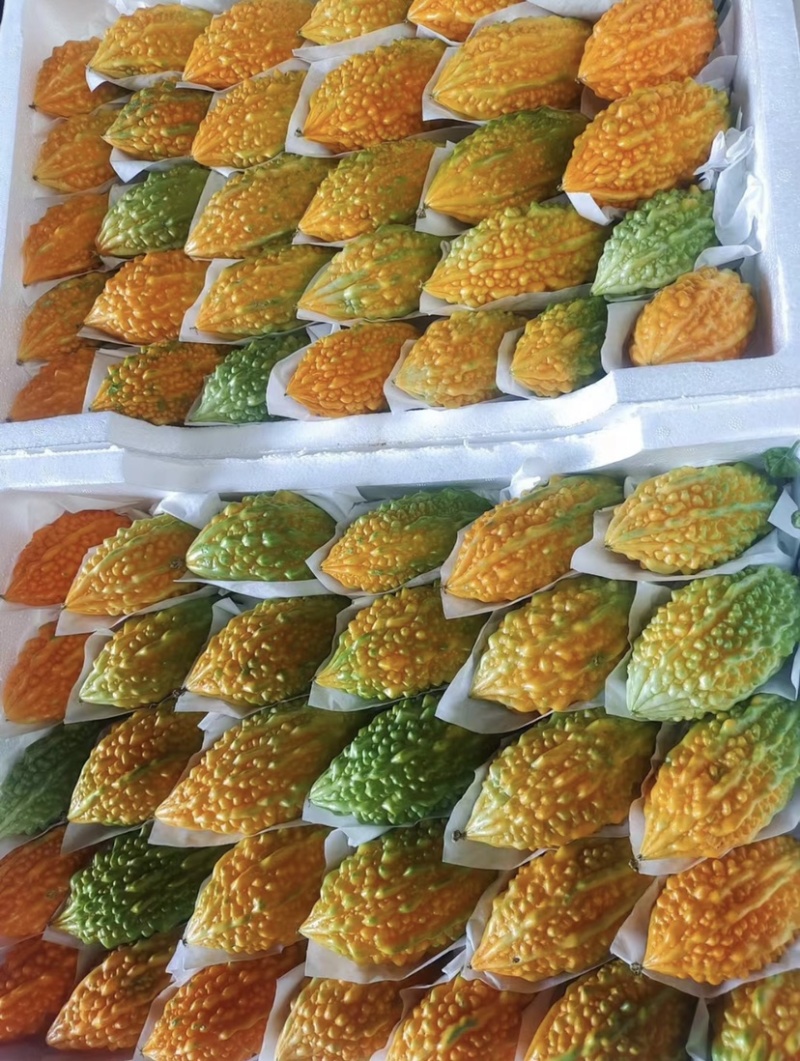 金铃子癞葡萄电商一件代发自产自销