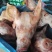 国产进口带耳猪头，鲜冻品，全国发货。