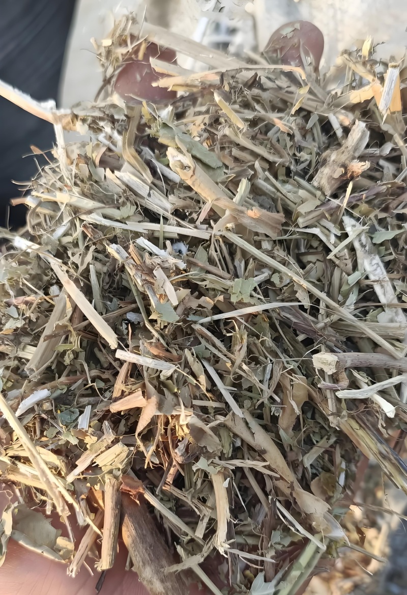 花生秧子工厂直发适合牛羊马驴等家禽家畜