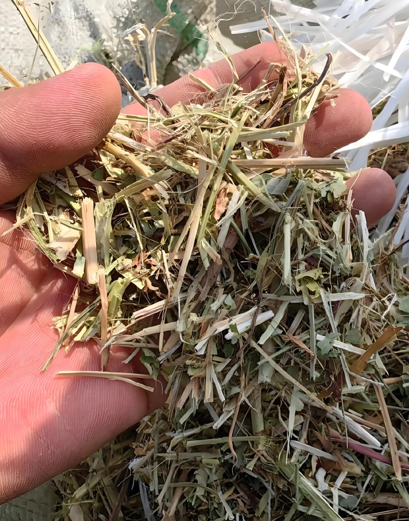 花生秧子工厂直发适合牛羊马驴等家禽家畜