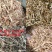花生秧子工厂直发适合牛羊马驴等家禽家畜