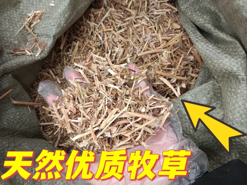 花生秧子工厂直发适合牛羊马驴等家禽家畜