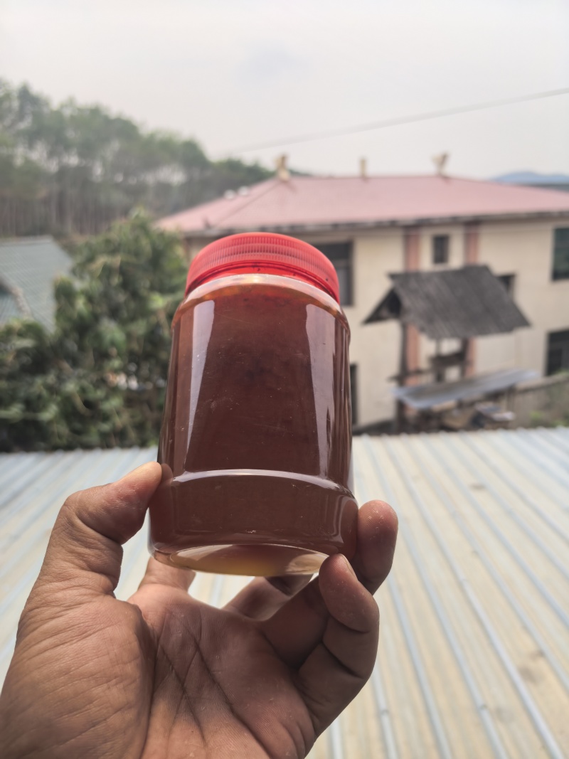西双版纳野生蜂蜜