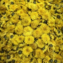 菊花一斤起卖可代捡单量大可以少