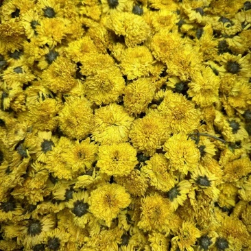 菊花一斤起卖可代捡单量大可以少