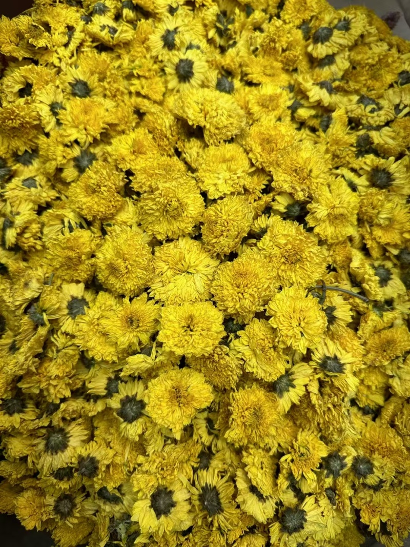 菊花一斤起卖可代捡单量大可以少