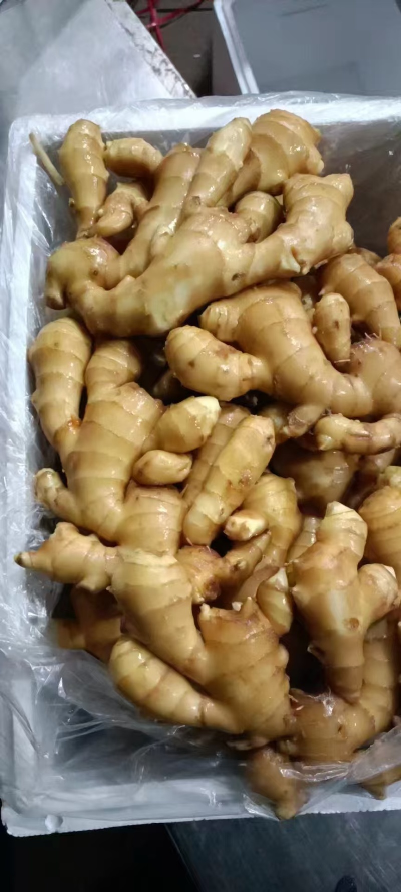 【实力代办】精选山东小黄姜大黄姜甄选生姜可视频看货