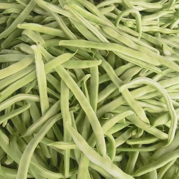 油豆角