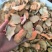 中药材土茯苓，安徽产地直供，质量保证量大从优