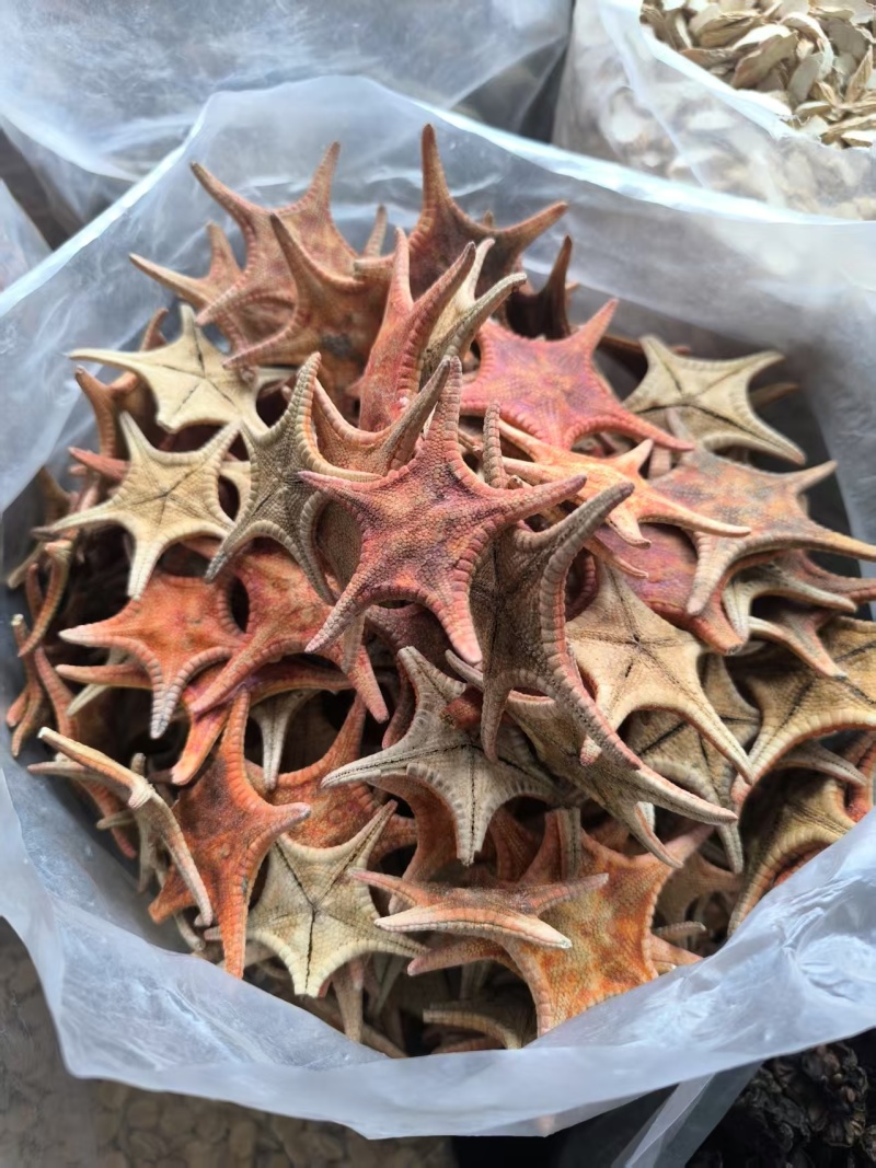 中药材干海星，安徽直发，质量为本，欢迎电话咨询