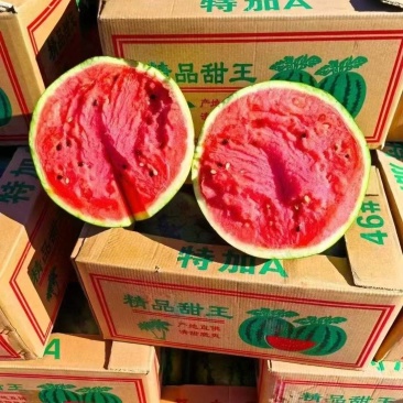（精品甜王）云南甜王/云南西瓜/大吨位供应/欢迎来电咨询