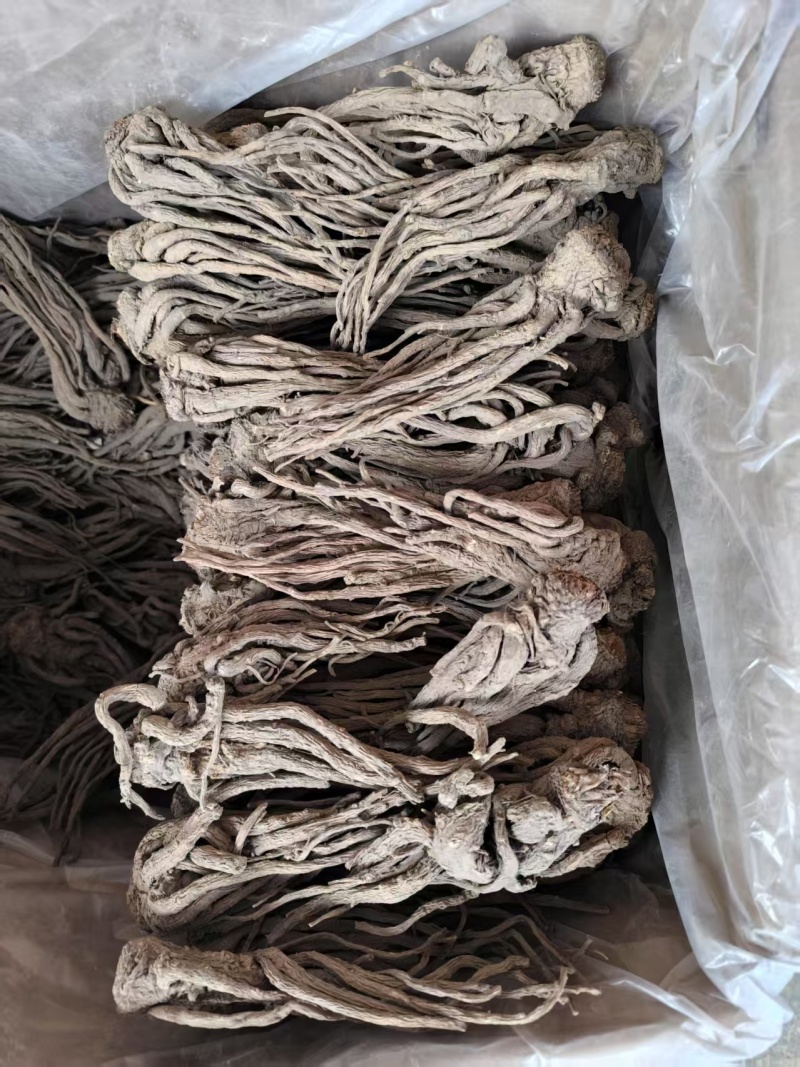 中药材当归，品质为先，诚信经营，欢迎咨询