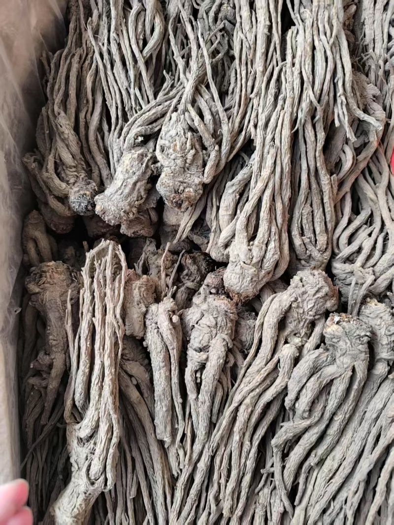 中药材当归，品质为先，诚信经营，欢迎咨询