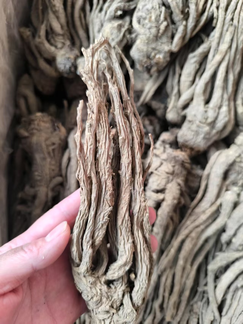 中药材当归，品质为先，诚信经营，欢迎咨询