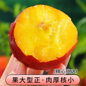 油桃，支持一件代发，对接各大电商平台，承接多多美团仓库