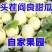 【软糯甜】陕西阎良甜瓜/头茬蜜瓜/博洋9号大量供应
