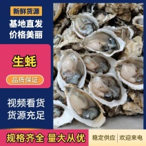 潮汕生蚝批发半壳加工大量现货货源充足价格美丽动人