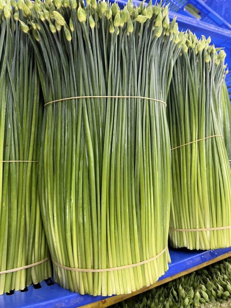 鲜韭菜花