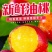 砀山油桃5斤现摘现发应季桃子黄心脆新鲜水果整箱原产地直发