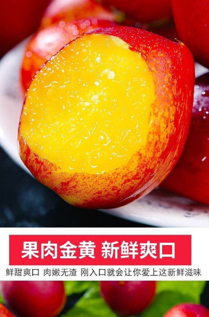 砀山油桃5斤现摘现发应季桃子黄心脆新鲜水果整箱原产地直发