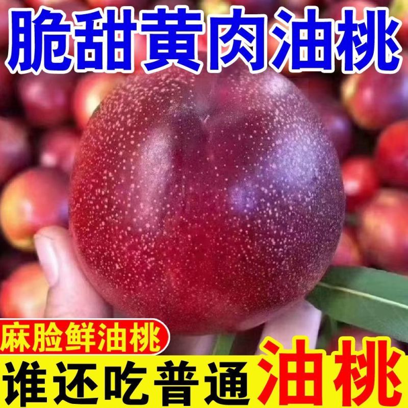 砀山油桃5斤现摘现发应季桃子黄心脆新鲜水果整箱原产地直发