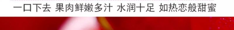 砀山油桃5斤现摘现发应季桃子黄心脆新鲜水果整箱原产地直发