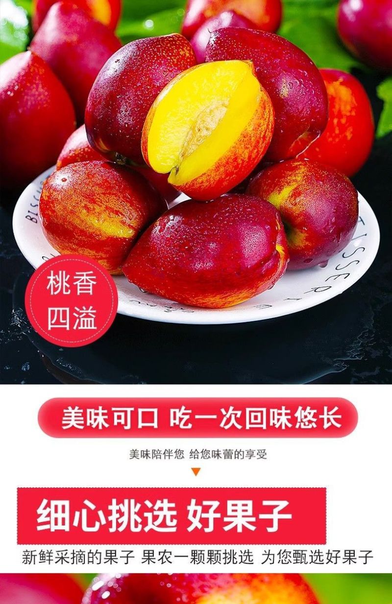 砀山油桃5斤现摘现发应季桃子黄心脆新鲜水果整箱原产地直发