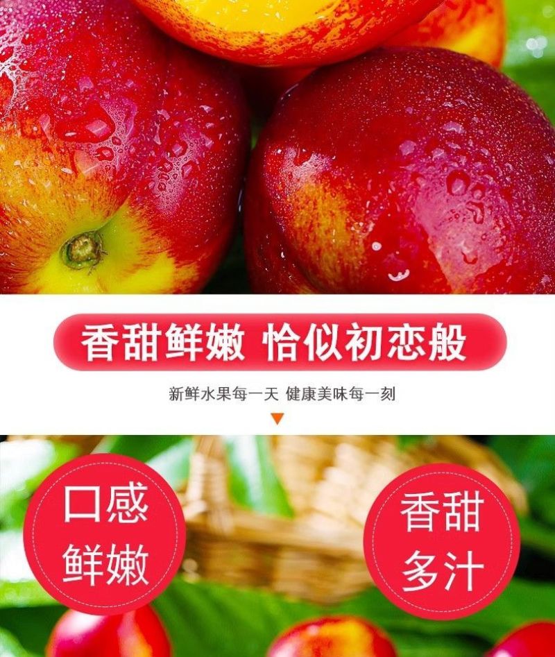 砀山油桃5斤现摘现发应季桃子黄心脆新鲜水果整箱原产地直发