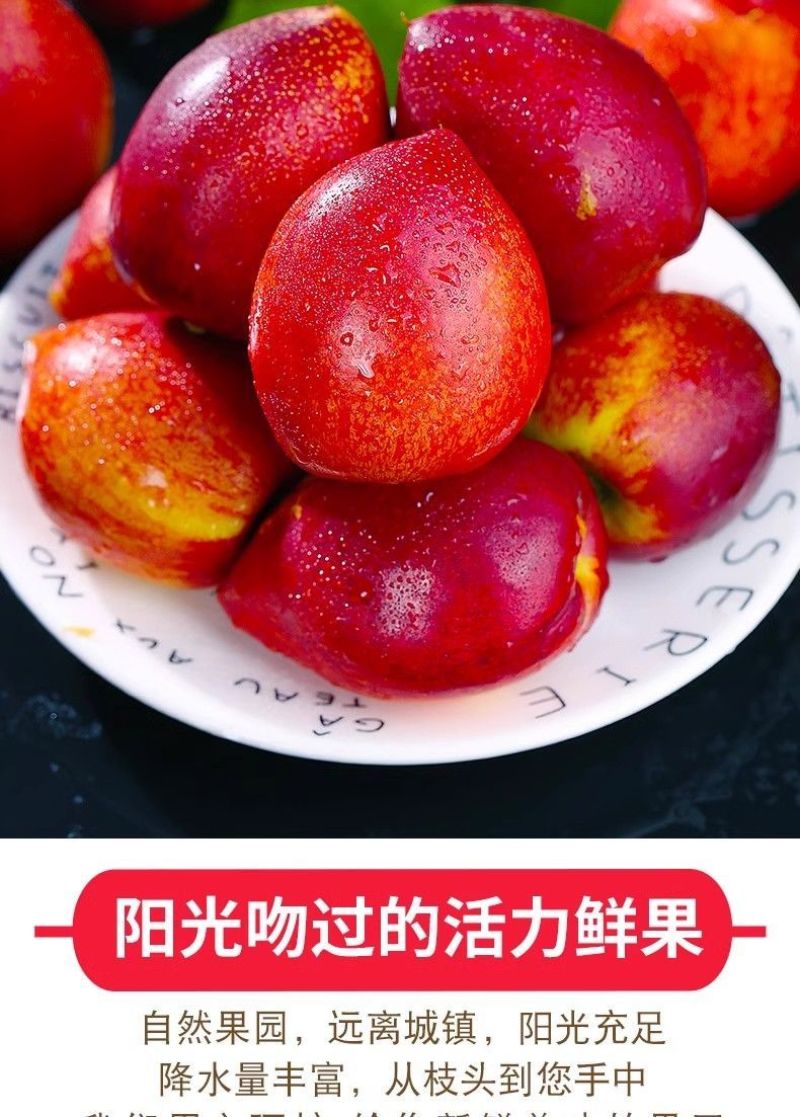 砀山油桃5斤现摘现发应季桃子黄心脆新鲜水果整箱原产地直发