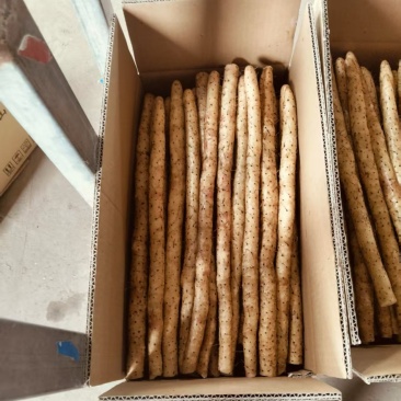精品双棒山药大量上市一手货源质量保证欢迎来电咨询