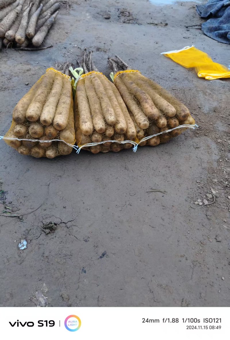 《热卖中》双棒山药大货，二路，三路品质严控，产地直供