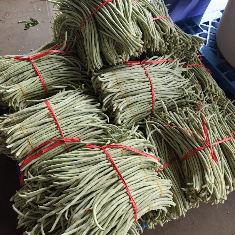 白豆角基地直采大量供应