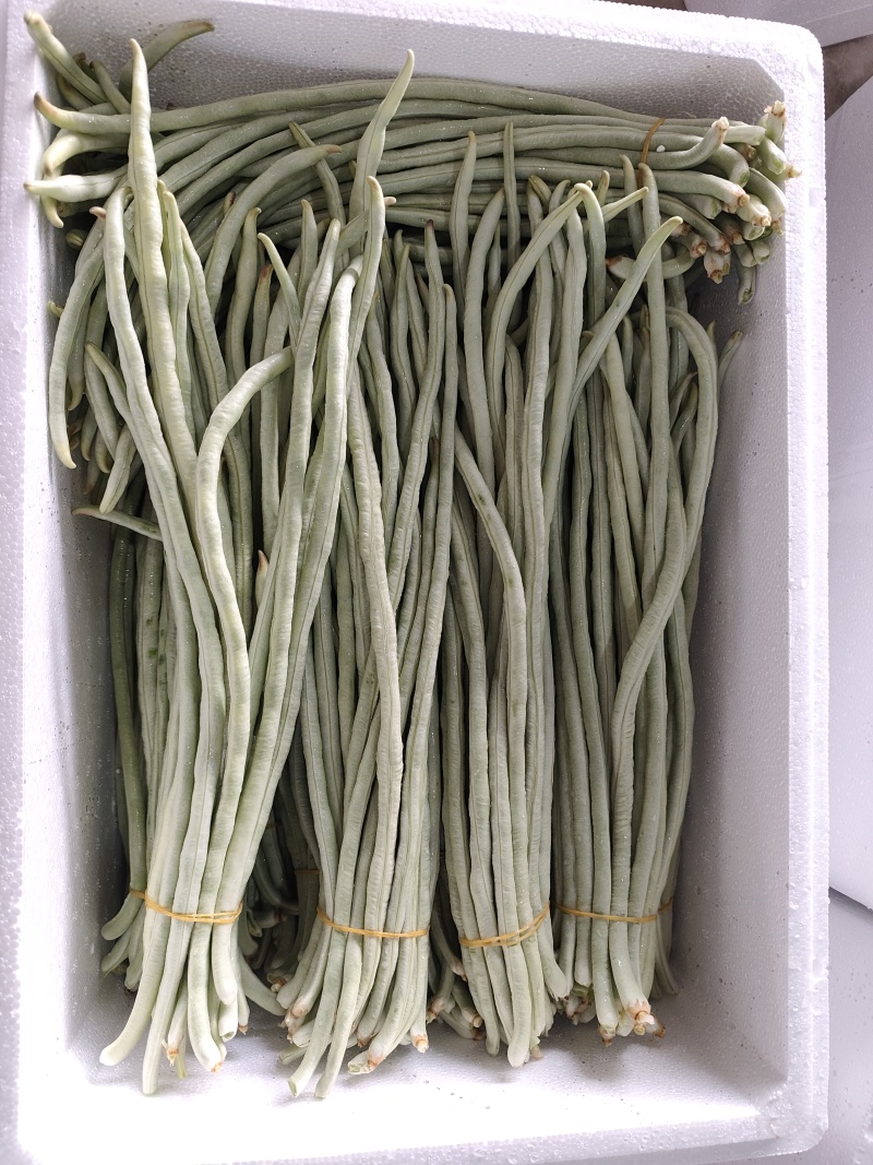 白豆角基地直采大量供应
