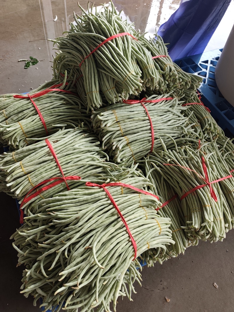 白豆角基地直采大量供应