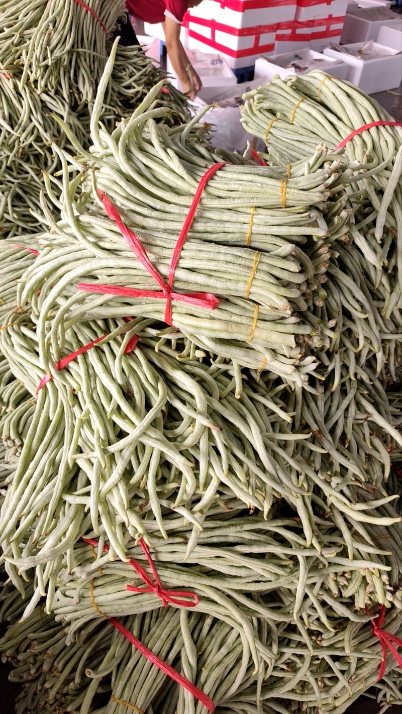 白豆角基地直采大量供应