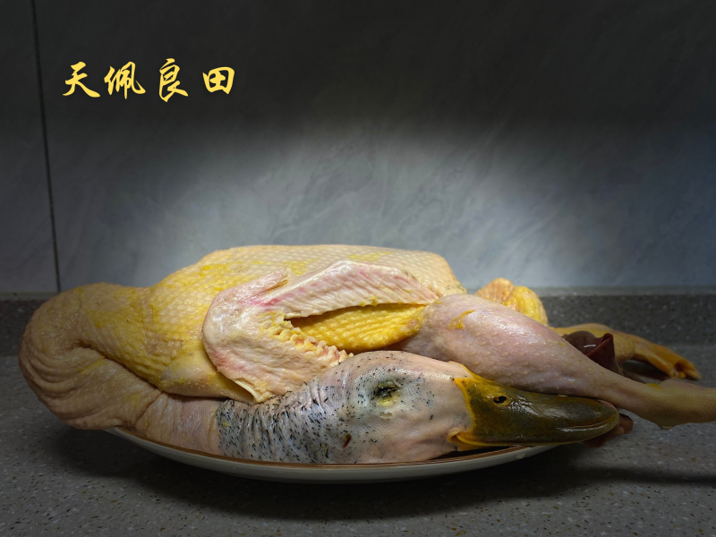 三江土鸭_自家养生态土鸭批发，现货供柳州_南宁_桂林