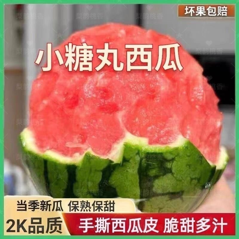 【西瓜】安徽砀山精品吊兰西瓜小糖丸全美2k麒麟瓜