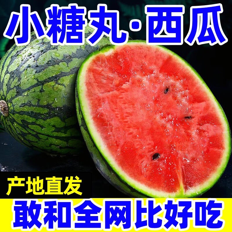 【西瓜】安徽砀山精品吊兰西瓜小糖丸全美2k麒麟瓜