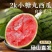【精选】安徽砀山精品西瓜全美2k吊兰小糖丸西瓜大量