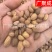 【实拍】家桃仁山桃仁生桃仁饱满无杂一公斤起